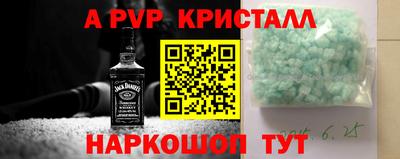 молекула духа Донской